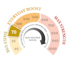 Multifloral Manuka Honey MGO 70 1kg